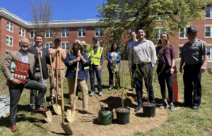 Members of the UMW community celebrate Mary Washington’s longtime status as a Tree Campus.